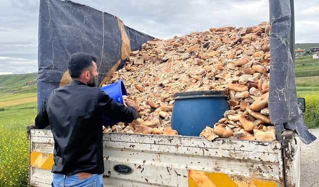 Çorumlu hurdacıdan örnek davranış: Bayat ekmekleri hayvanlara ulaştırıyor