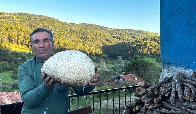 Tam 5 kilo geliyor: Vatandaş buldu, görenler gözlerine inanamadı