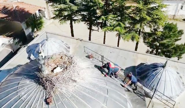 Ayağı ipe takıldı: İtfaiye ekipleri tarafından kurtarıldı