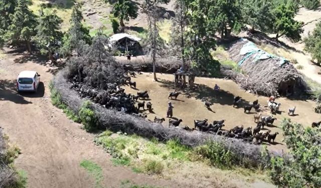 Kargı İlçe Tarım Müdürlüğü’nden üreticiye sahada destek