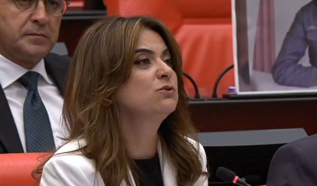 DEM Partili Koçyiğit, Çorum'daki Alevi buluşmasını TBMM gündemine taşıdı