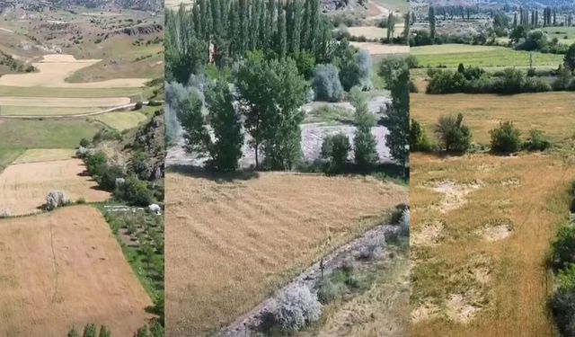 Osmancık’ta tarım alanları yağış sonrası mercek altına alındı