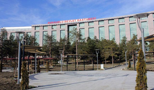 Çorum'a 9’u uzman, 2’si tabip olmak üzere 11 hekim atandı