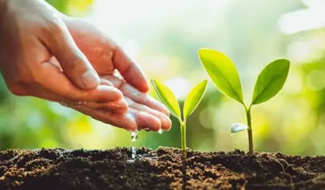 Çorum’da Türkiye Çevre Haftası etkinlikleri başlıyor