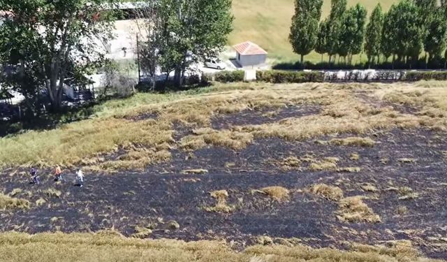 Veli Çayırı’ndaki yangında ekili arazi zarar gördü