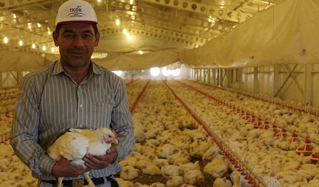 TKDK’dan hayvancılık sektörüne 30 milyon avroluk yeni hibe desteği