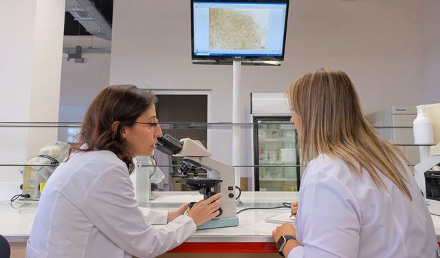 Akciğer kanseri ilacına yönelik nanotaşıyıcı sistem geliştirdiler
