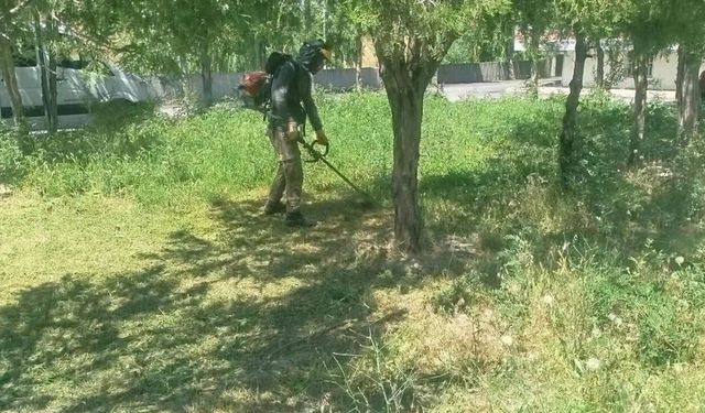 Sungurlu’da park ve mesire alanlarında bakım çalışması
