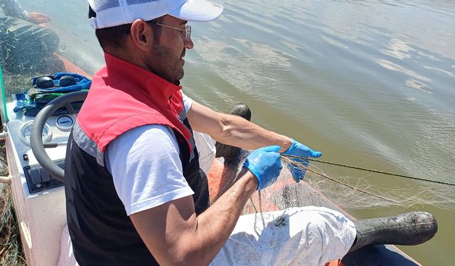 3 bin metreden fazla ağ yakalandı: Kaçak avcılığa sıkı denetim