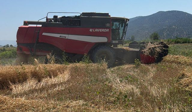 Kargı ve Mecitözü'nde biçerdöver kontrolleri sürüyor