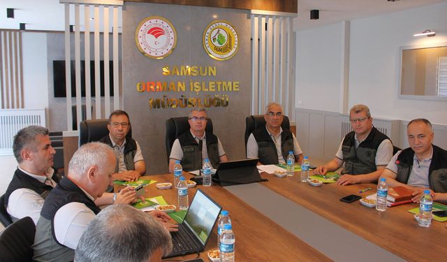 Çorum’daki ormancılık çalışmaları Samsun’da değerlendirildi