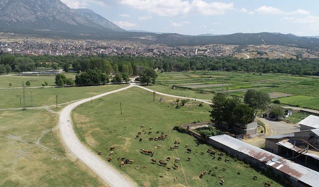 Kargı ve Laçin’de mera ıslahı için etüt çalışması yapıldı
