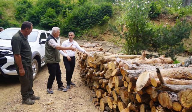 Ormanda inceleme yaptılar: Çalışmalar değerlendirildi