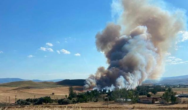 Milletvekili Tahtasız: “Anız yakmak yasaktır, Allah bir daha yaşatmasın”