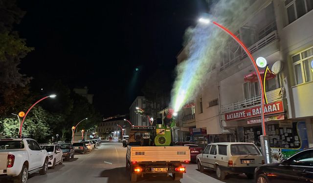 17 mahallede ilaçlama çalışması sürüyor
