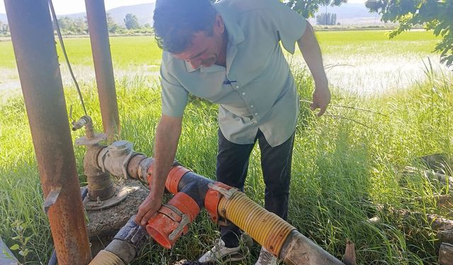 Çeltikte yabancı ot mücadelesinin ilk etabı tamamlandı