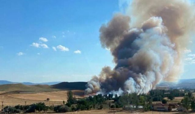 Çorum’da anız yangını paniği