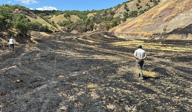 Yangın tarlaları küle çevirdi, ekipler zararı hesaplıyor