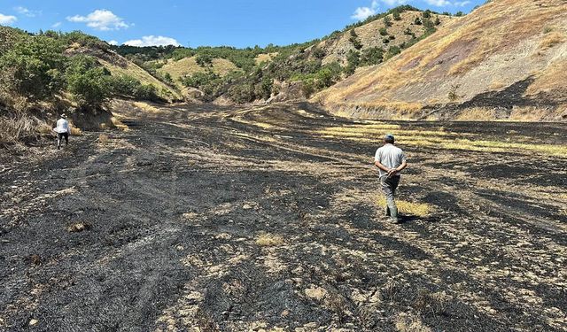 Gecek Köyü’nde anız yangını sonrası hasar tespit çalışması