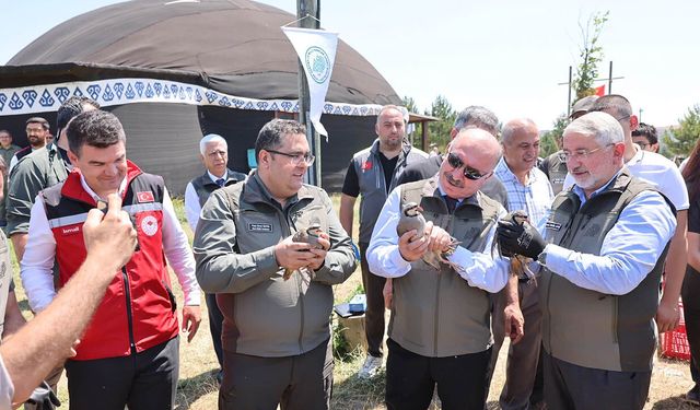 Çorum’da doğaya 500 kınalı keklik bırakıldı