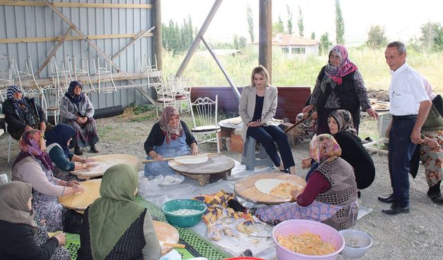 Kaymakam Nayman Bayındır Köyü'nü ziyaret etti