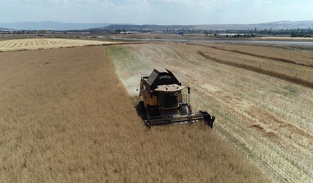 Çiftçinin talebiyle planlı üretime alınan kanolada ilk hasat sevinci