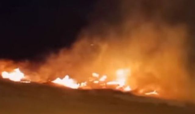 Yıldızhan Mahallesi'ndeki örtü yangını panik yarattı