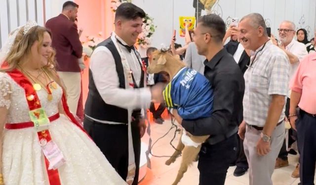 Damat neye uğradığını şaşırdı! Takı merasiminde gelen hediye salondakileri güldürdü!
