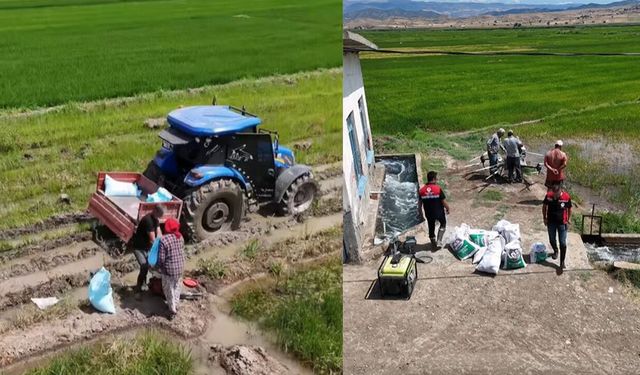 Osmancık’ta çeltik tarlalarında gübreleme çalışmaları denetlendi