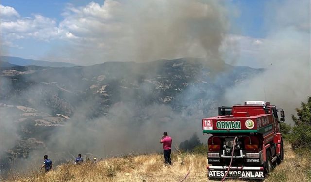 İskilip’te anız yangını paniğe neden oldu