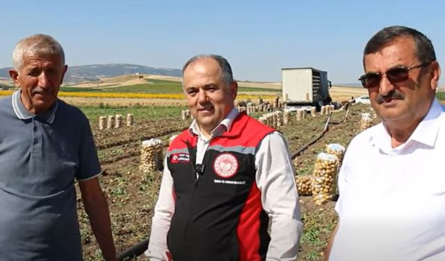 Hasan Taş patates hasadını yerinde inceledi