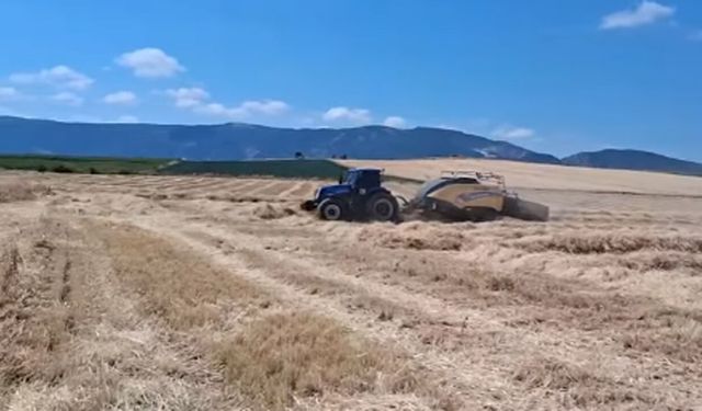 Çorum DSYB’den üreticilere saman balyası desteği