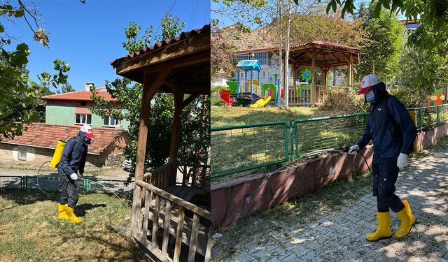 Park ve yeşil alanlarda ilaçlama çalışmaları sürüyor