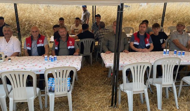 Mecitözü’nde kanola hasadında dekara 382 kilogram verim