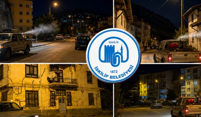İskilip’te kene ve haşerelere karşı ilaçlama çalışmaları sürüyor