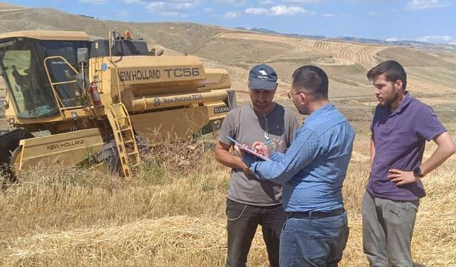 İskilip ve Mecitözü’nde hasat denetimleri yapıldı