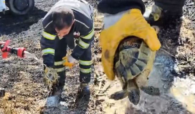 Alevlerin arasında kaldı: İtfaiye ekipleri tarafından son anda kurtarıldı