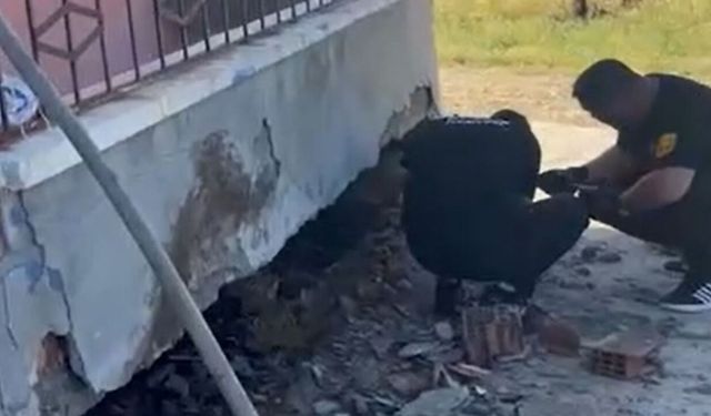 Duvardaki tuğlaların arasından itfaiye tarafından çıkartıldı
