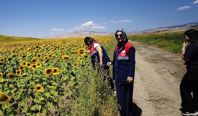 İskilip’te Tarım Arazileri CBS ile Kontrol Ediliyor