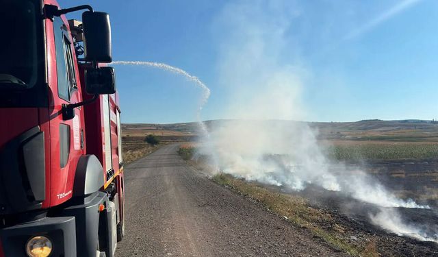 Alaca’da anız yangını büyümeden söndürüldü