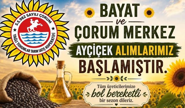 Yağlık ayçiçeği alımları başladı: Nasıl teslim edilecek?