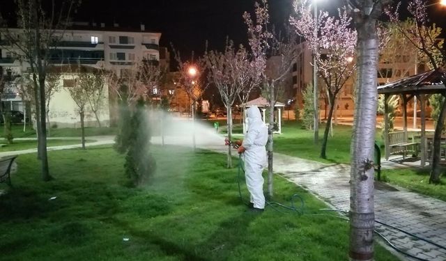Çorum’da vektörel mücadele aralıksız sürüyor: Şehir genelinde o alanlar tek tek ilaçlanıyor!