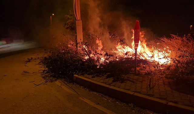 Rüzgarın etkisiyle kısa sürede büyüdü: Ekipler müdahale etti