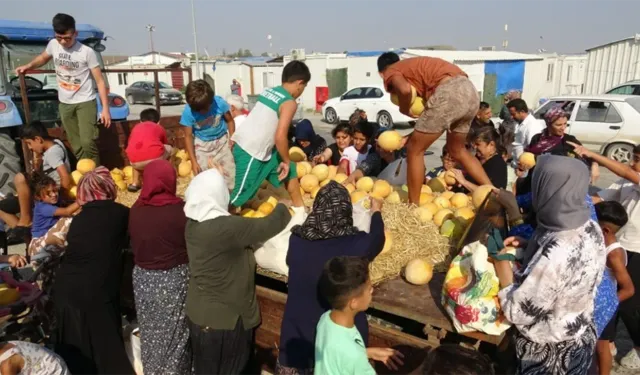 Tarlada 5 lirayı duyunca "Dua yeter" dedi: 50 tonluk mahsul için bakın ne yaptı