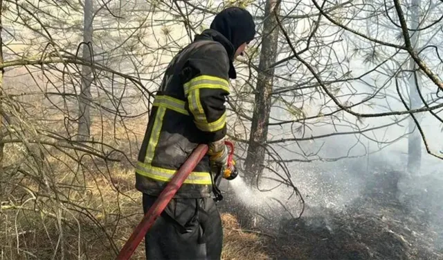 Çorum Dodurga'da çıkan anız yangını meyve ve ceviz bahçelerine sıçradı