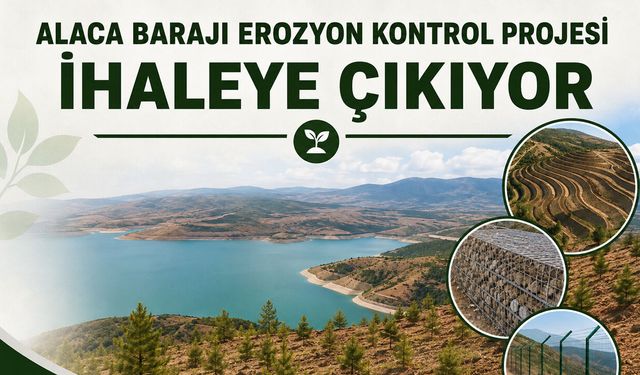 Alaca Barajı için toprak işleme ve fidan dikim ihalesi
