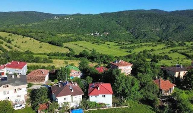 Çorum’un orman köyleri boşalıyor: 12 yılda 31 binden fazla kişi azaldı