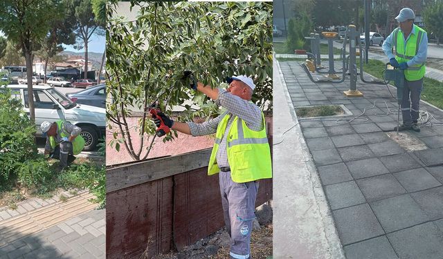 Osmancık’ta hangi park ve yeşil alanlara bakım yapıldı?