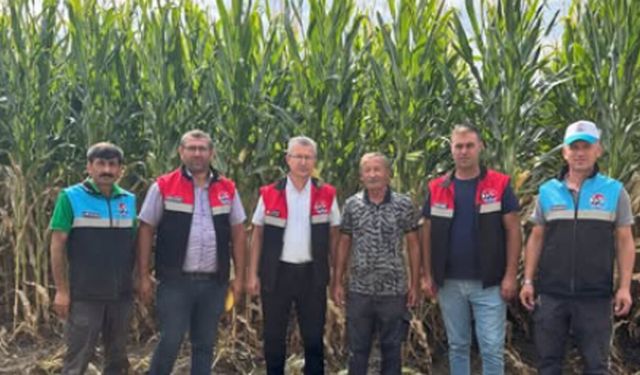 Çorum’da 2026 silaj sezonu başladı