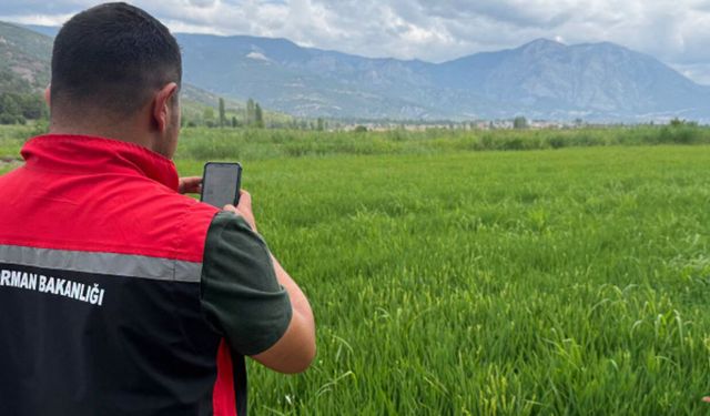 Kargı’da 2026 üretim sezonu arazi çalışmaları sürüyor